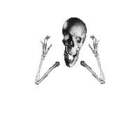 day of the dead hello Sticker by Peter Bjorn and John