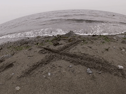 danielerikson giphygifmaker GIF