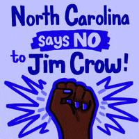 North Carolina Vote GIF by Creative Courage