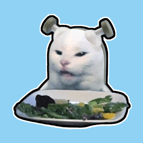 Confused Cat GIF