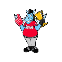 WindSurgeICT baseball win aa windy Sticker