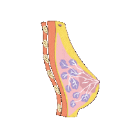 revmed study student cancer medicine Sticker
