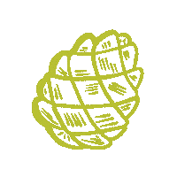 Field Notes Illustration Sticker by enchanted grdn