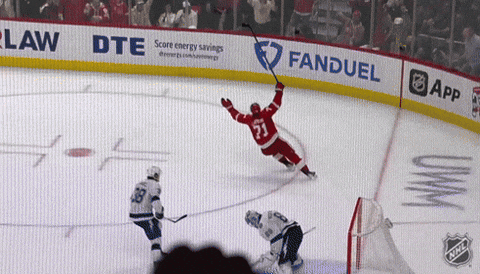 Happy Red Wings GIF by NHL
