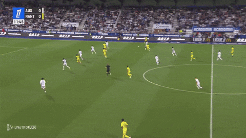 zgiorgos10 giphyupload GIF