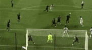 save andre blake GIF by Philadelphia Union
