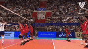 Power Yes GIF by Volleyball World