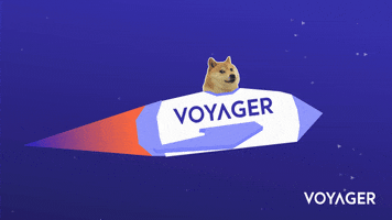 InvestVoyager dogecoin voyager vgx GIF