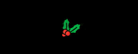 campomeat merry christmas campo meat campomeat angusmeat GIF