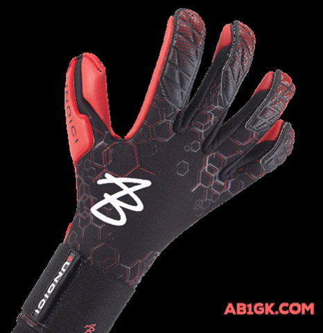 AB1GK giphygifmaker goalkeeper gloves torwart GIF