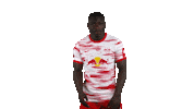Football Looks Good Sticker by RB Leipzig