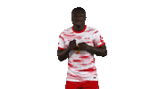 Fight Knockout Sticker by RB Leipzig