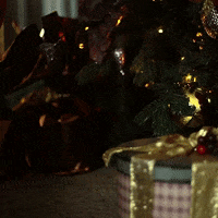 Christmas Tree Love GIF by dua.com