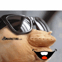 How Come Are You Serious GIF by FlySMarketing.com