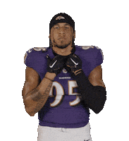 Jersey Ravens Flock Sticker by Baltimore Ravens