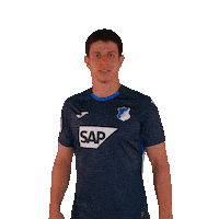 Sport Bundesliga Sticker by TSG Hoffenheim