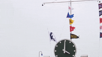 Chicago Cubs Flags GIF by TheDreamTeam 