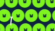GIF by Seattle Seahawks