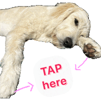 Dog Tap Sticker