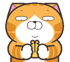 Cat Money Sticker by MochiDad