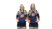 Cnvb Sticker by Carson-Newman Athletics