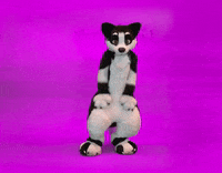 furrie i sit on you GIF by beeeky