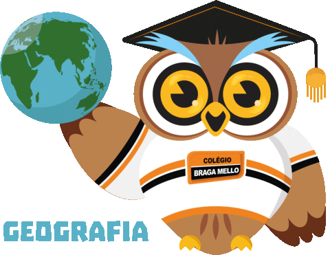 Presidente Prudente Owl Sticker by Braga Mello