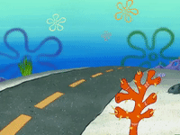 season 4 GIF by SpongeBob SquarePants