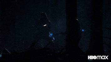 Red Hood Fight GIF by Max