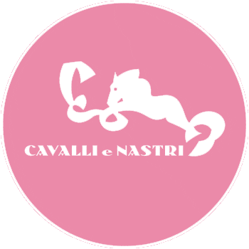 cavallienastridiclaudiajesi giphyupload cavallienastri Sticker