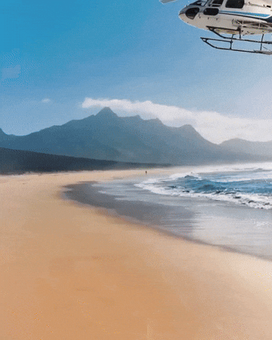 Speaker Of The House Papaya GIF by Respective