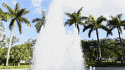 the u lake osceola GIF by Miami Hurricanes