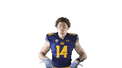 Ncaa Football Go Bears Sticker by Cal Athletics