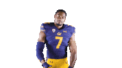 Uc Berkeley Go Bears Sticker by Cal Athletics