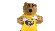 College Sports Sport Sticker by WVU Tech Golden Bears