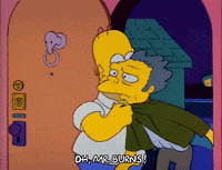 Season 2 Episode 13 GIF by The Simpsons