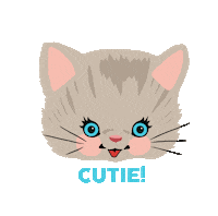 Cat Love Sticker