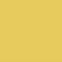 Joe Biden Protest GIF by Creative Courage