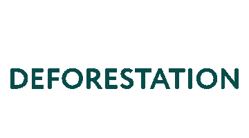 GoForest nature plant forest sustainability Sticker