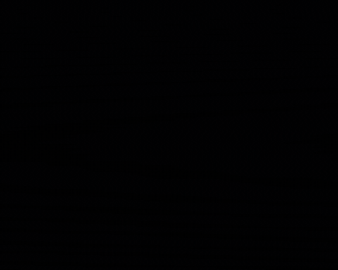 Excited Lets Go GIF by UNC Tar Heels