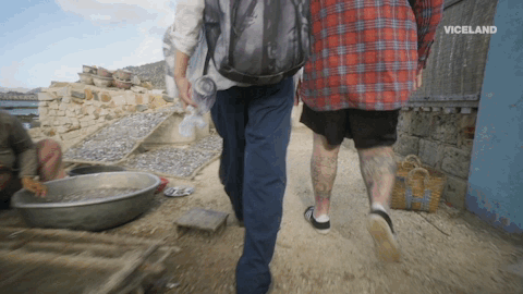 GIF by Dead Set on Life