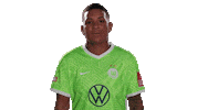 Go Out No Sticker by VfL Wolfsburg