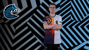 Sport GIF by BS+COMPETITION