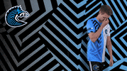 Sport GIF by BS+COMPETITION