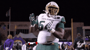 College Football GIF by USF Athletics