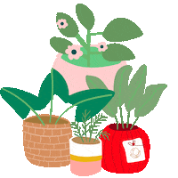 Flores Planta Sticker by elceibovivero