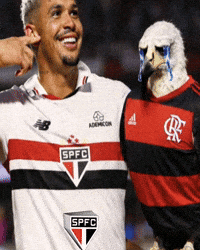 Sao Paulo Luciano GIF