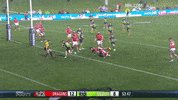 Try Nrl GIF by Canberra Raiders