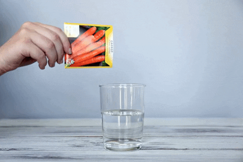 comment-economiser giphyupload GIF