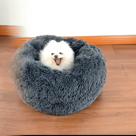 ibruns giphygifmaker GIF